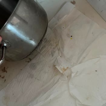 Sapanca Bungalovunda Kirli Ortam Ve Kırık Havuz Fayansları Nedeniyle Yaralanma