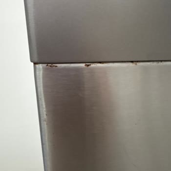 Hoover Bulaşık Makinesinde Sürekli Arıza, Kapanmayan Kapak Ve Paslanma