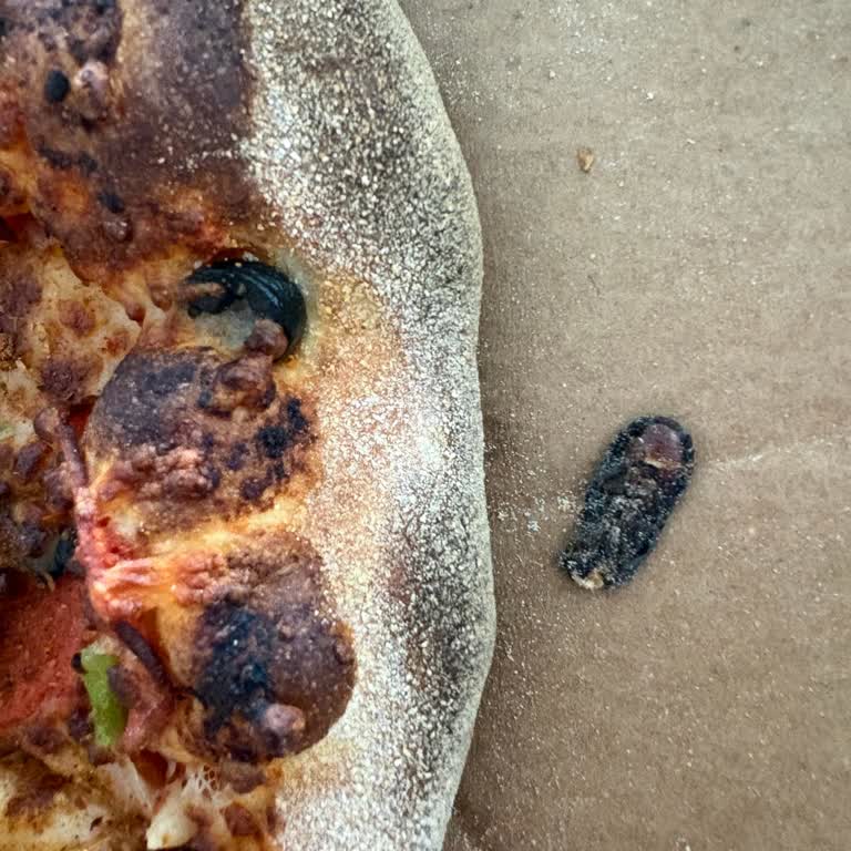 Domino’s Pizza’da Hamam Böceği: Gıda Güvenliği İhlali