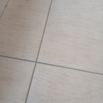 Sunstar Beach Hotel Genel Hijyeninden Hiç Memnun Kalmadık