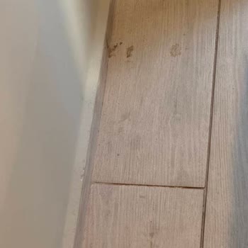 Mia Residence Kuşadası Büyük Pişmanlık