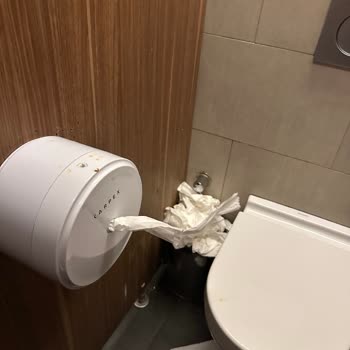 AVM Tuvaletlerinde Hijyen Ve Temizlik Sorunları