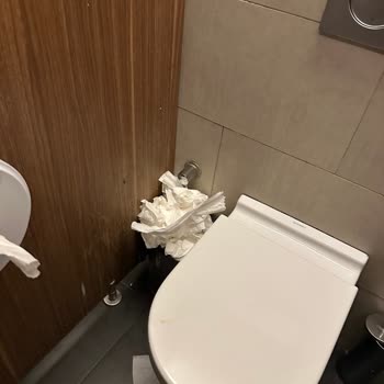 AVM Tuvaletlerinde Hijyen Ve Temizlik Sorunları