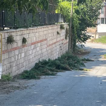 Karanfil Sokakta Ağaç Dalları Yola Atıldı Ve Araç Geçişi Engellendi