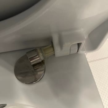 Creavit Klozet Kapağı Menteşesi 2 Yılda Koptu