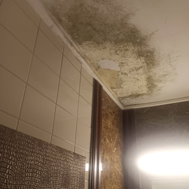Rutubetli Ve Kirli Odalar Nedeniyle Tam Ücret İadesi Talep Ediyorum
