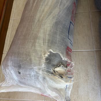 Aras Kargo’nun Yatağı Apartmanda Bırakması Ve Hasarlı Teslimatı