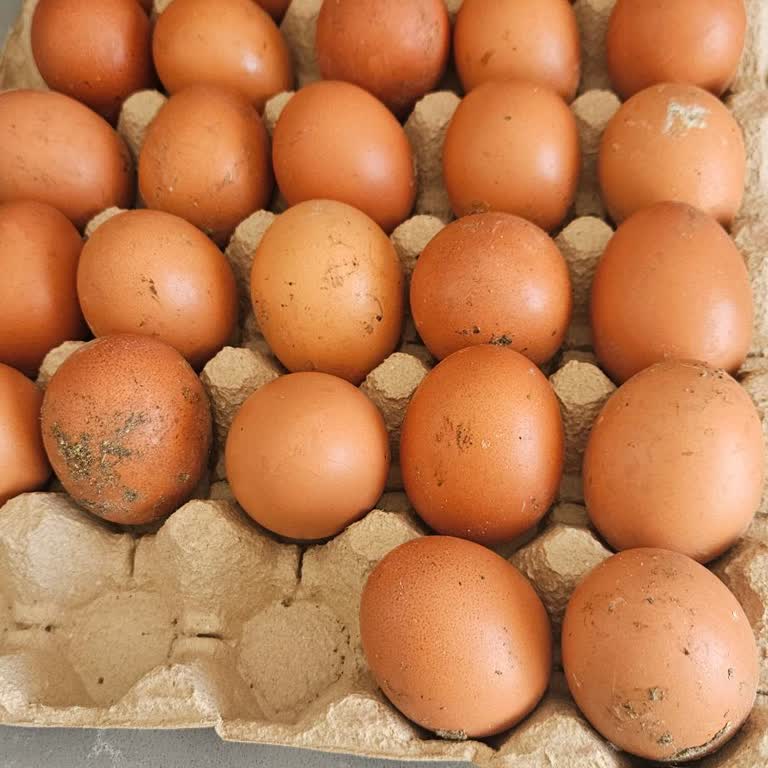 Metro Market'te Organik Yumurta Hijyen Sorunu Ve İade Talebi