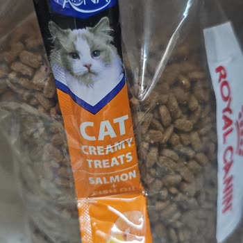 Pet Market’te Köpek Maması Yerine Markasız Kedi Maması Gönderildi