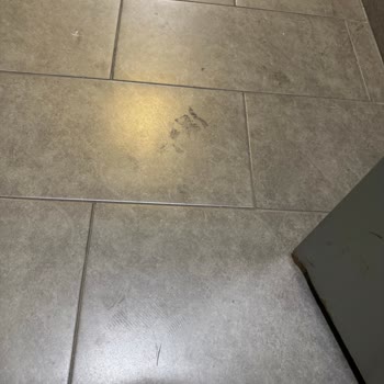 Yüksek Aidat, Düşük Hizmet: Asansör Arızaları, Bakımsız Ortak Alanlar Ve Yenilenmeyen Fitness Salonu