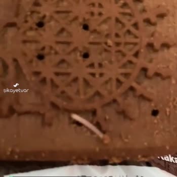 Eti Burçak Bisküviden Kurt Çıkması!