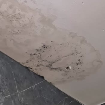 Vanilla Villa's Sapanca Sorun Yaşama