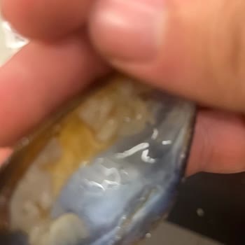 Sağlık Riski Oluşturan Soğuk Ve Küflü Midye Siparişi İçin Tam İade Talebi