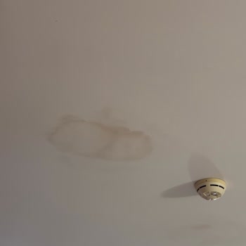 Amon Otel’de Hijyen Problemleri Ve Jolly Tur’den İade Talebi