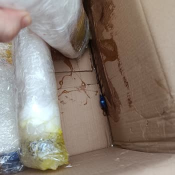 Hasarlı Kargo Kutusu Ve Dökülmüş Deterjan Ürünleri İçin Yeniden Gönderim Talebi