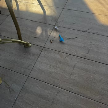 Kirli Odalar Ve Temizlenmeyen Havuz Alanı İle En Kötü Otel Deneyimi
