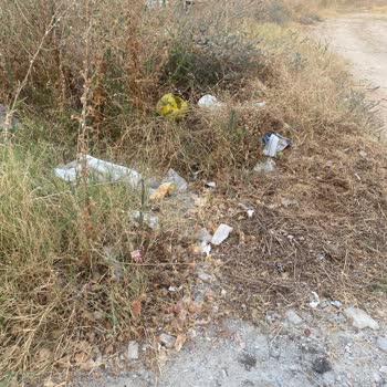 Çukurova’da Sokak Temizliği, Çöp Kokuları Ve Geri Dönüşüm Makinelerinin Boşaltılmaması