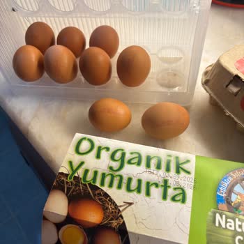 Organik Yumurta Paketi İçinde Farklı Kodlu Yumurtalar Ve Geri Dönüşsüz Şikayet