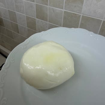Bahçıvan Suda Top Mozzarella Peynirinde Son Kullanma Tarihinden Önce Küf