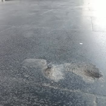 Migros Şubesinde Kesilmemiş Demir Parçası Nedeniyle Yaralanan Müşterinin Tazminat Talebi