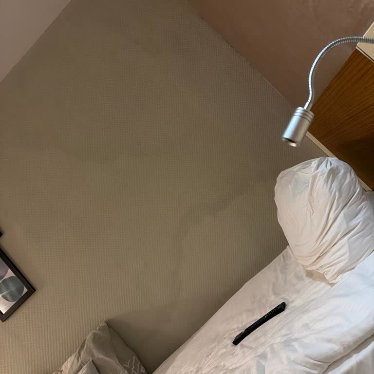 Küf Kokusu Nedeniyle Oda Değişikliği Talebi
