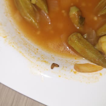Feast Bamya Okra Ürününde Kurtçuk Ve Hijyen Sorunu