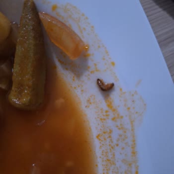 Feast Bamya Okra Ürününde Kurtçuk Ve Hijyen Sorunu