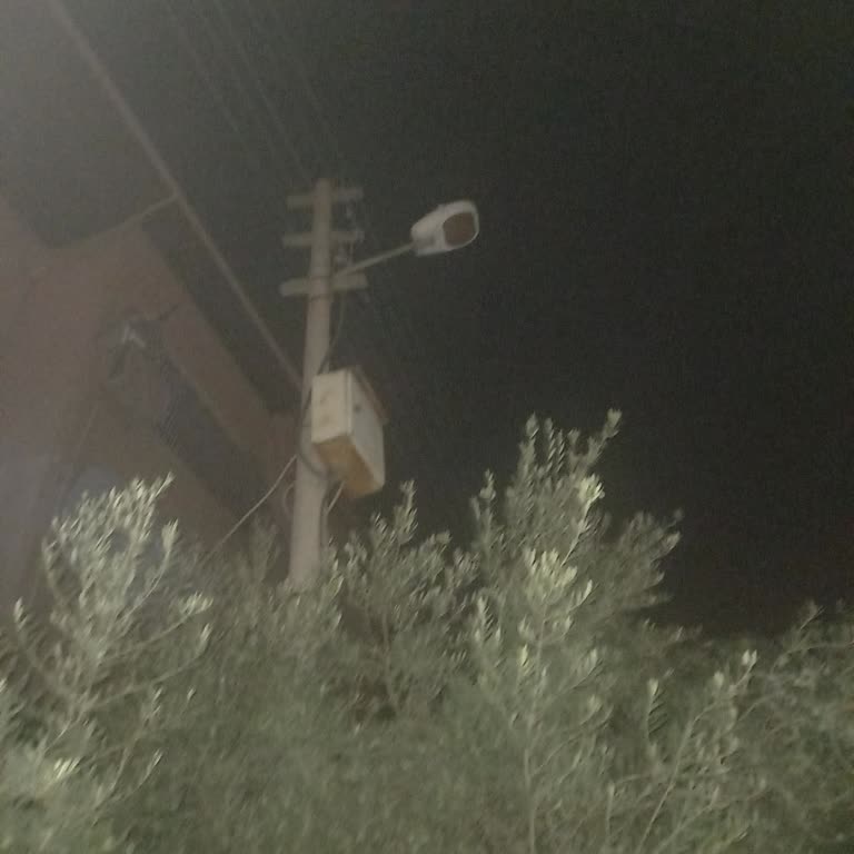 Adana Çukurova'da Arızalı Sokak Lambası Güvenliği Tehlikeye Atıyor