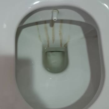 All Inclusive Ücretine Rağmen Akşam Yemeği Yok Ve Çocuk Turunda Tam Fiyat Alındı