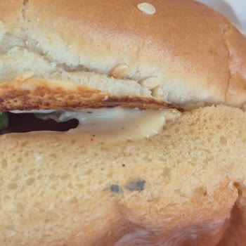 Popeyes Şubesinde Küflü Ekmek Ve Çalışanların İhmalci Tutumu