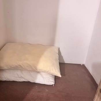 Afytos Akçay Otel’de Kalitesiz Yemek, Temizlik Ve Hijyen Sorunları Nedeniyle Ücret İadesi Talebi