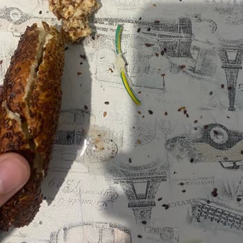 Simit İçinde Elektrik Kablosu Keşfi Müşteri Sağlığını Tehdit Ediyor