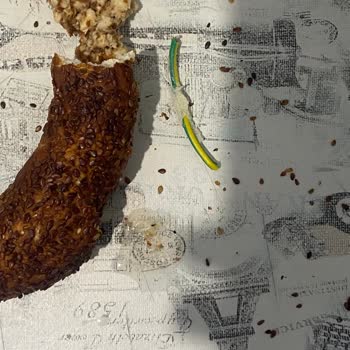Simit İçinde Elektrik Kablosu Keşfi Müşteri Sağlığını Tehdit Ediyor
