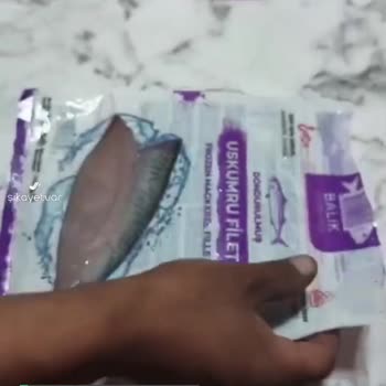 Balık Dünyası Uskumru Hüsranı!