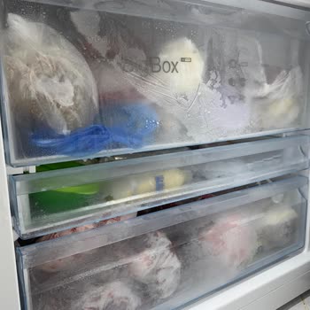 Bosch No Frost Buzdolabında Sürekli Karlama Ve Yoğun Koku, Yedi Servis Ziyaretiyle Çözülmedi