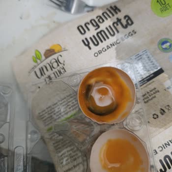 Küflü Organik Yumurta Satışı Ve Çalışanların İlgisiz Tutumu