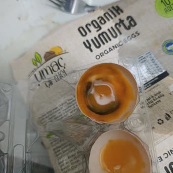 Küflü Organik Yumurta Satışı Ve Çalışanların İlgisiz Tutumu