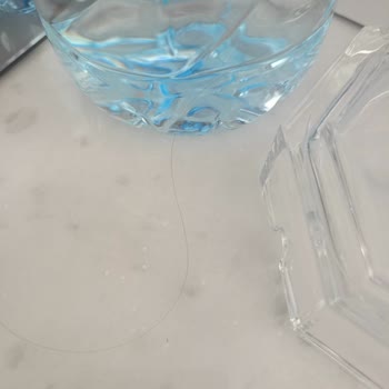 Giriş Gecikmesi Ve Oda Temizlik Sorunları