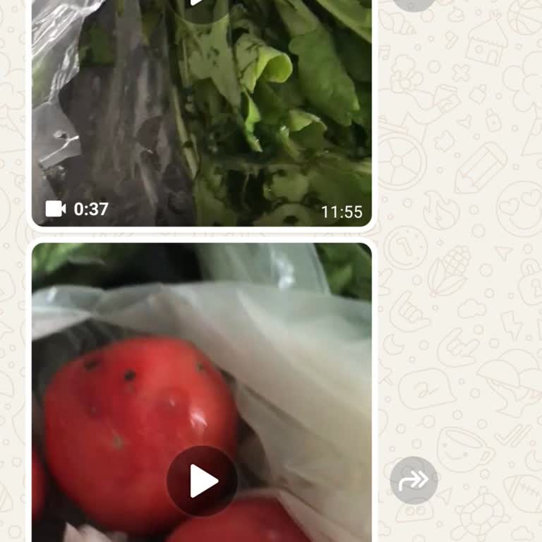 Beko Buzdolabında Sürekli Ses Ve Gıdaların Çabuk Çürümesi Sorunu