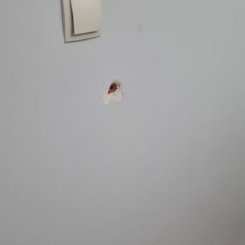 Vestel Yetkili Servisi Duvarı Patlattı Ve Geri Dönüş Yapmadı