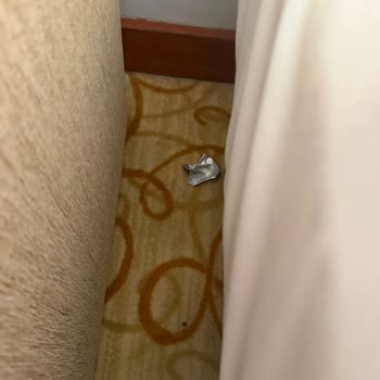 Yanıltıcı Otel Yönlendirmesi Ve Hijyen Sorunları Nedeniyle Zorunlu Ek Ücret Talebi
