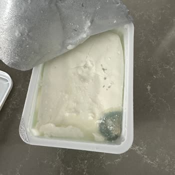 Beylikdüzü Kavaklı BİM Şubesinden Alınan Labne Paketi Küflü Çıktı