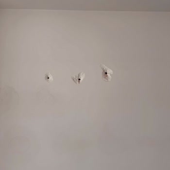 İzinsiz Dış Cephe Delikleri Ve Taahhüt Edilen Onarımın İcrasız Kalması