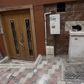 Fiber İnternet Kesintisi Ve Açık Kablo Hasarının Göz Ardı Edilmesi