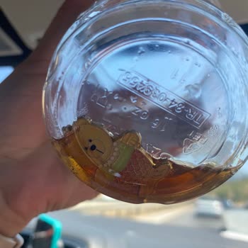 Starbucks Urla Şubesinde Kahve Bardağında İğne Bulundu