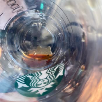 Starbucks Urla Şubesinde Kahve Bardağında İğne Bulundu