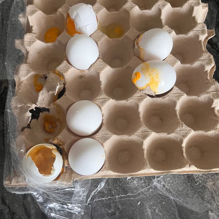 Şok Market Afyon Sandıklı Şubesinde Çürük Yumurta Satışı Ve İade Talebi