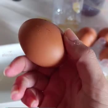 Migros Naturaköy Marka Yumurta Hepsi Çürük Çıktı
