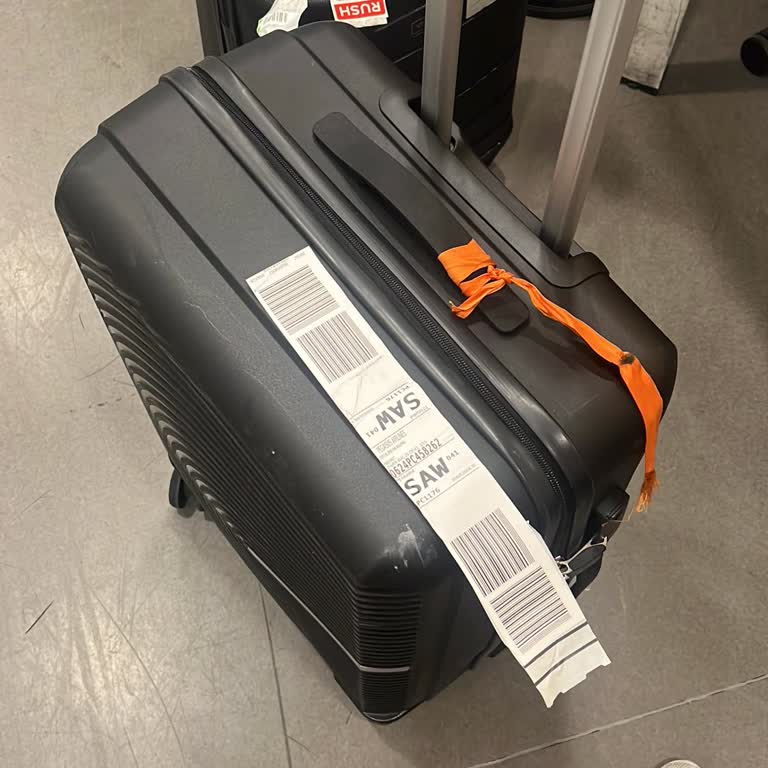 Pegasus PC352 Uçuşunda Kayıp Bagaj Ve Yetkisiz Teslimat