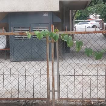 A101 Giresun Caddesi Şubesindeki Soğutucu Ve Jeneratör Gürültüsü Ve Mazot Kokusuna Dair Şikayet